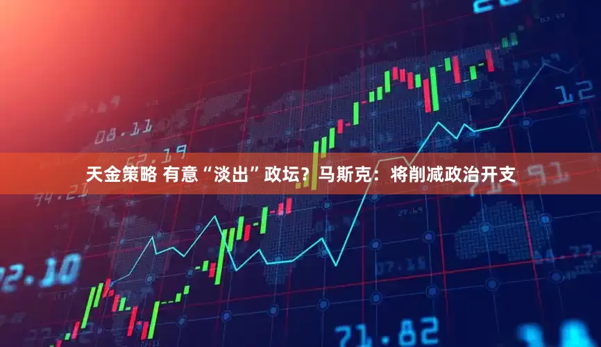 天金策略 有意“淡出”政坛？马斯克：将削减政治开支
