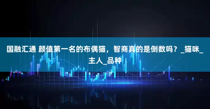 国融汇通 颜值第一名的布偶猫，智商真的是倒数吗？_猫咪_主人_品种