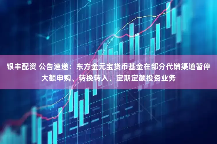 银丰配资 公告速递：东方金元宝货币基金在部分代销渠道暂停大额申购、转换转入、定期定额投资业务