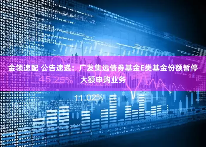 金领速配 公告速递：广发集远债券基金E类基金份额暂停大额申购业务