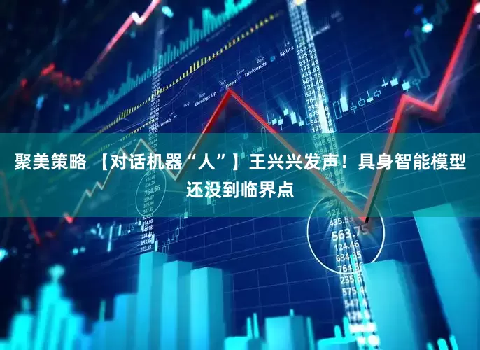聚美策略 【对话机器“人”】王兴兴发声！具身智能模型还没到临界点