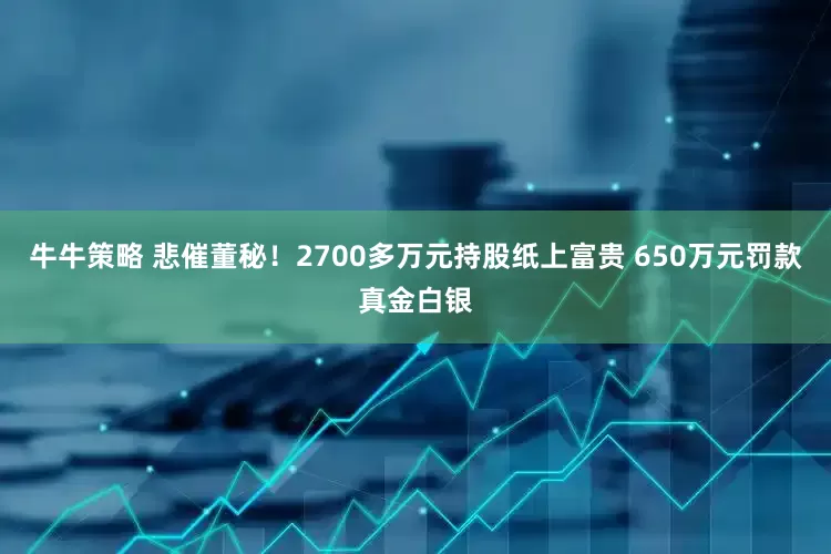 牛牛策略 悲催董秘！2700多万元持股纸上富贵 650万元罚款真金白银