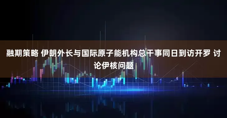 融期策略 伊朗外长与国际原子能机构总干事同日到访开罗 讨论伊核问题