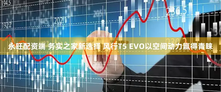 永旺配资端 务实之家新选择 风行T5 EVO以空间动力赢得青睐