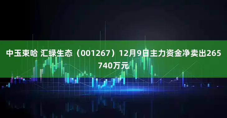 中玉束哈 汇绿生态（001267）12月9日主力资金净卖出265740万元