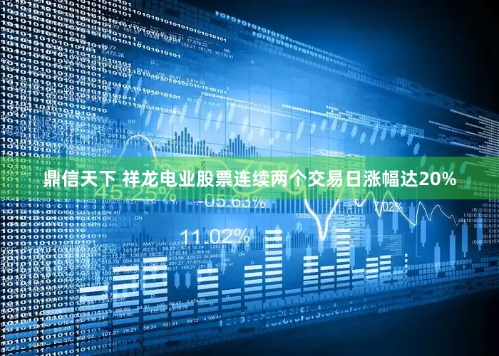 鼎信天下 祥龙电业股票连续两个交易日涨幅达20%