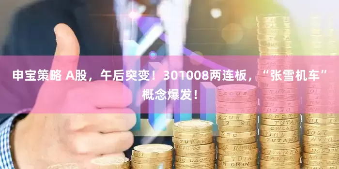 申宝策略 A股，午后突变！301008两连板，“张雪机车”概念爆发！